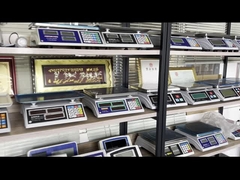 WALL-E 바닥 스케일 플랫폼 스테인리스 스틸 바닥 스케일 웨이브리지 트럭 스케일