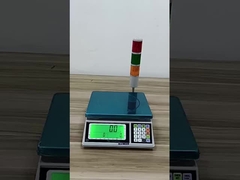 스케일을 심사숙고하는 주문 제작된 디지털